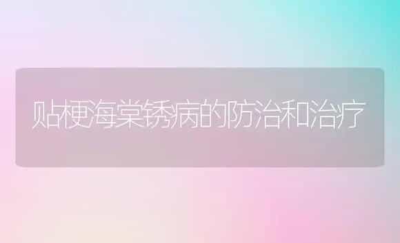 贴梗海棠锈病的防治和治疗 | 家庭养花