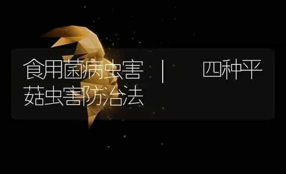 草菇菌种的生产质量要求 | 菌菇种植