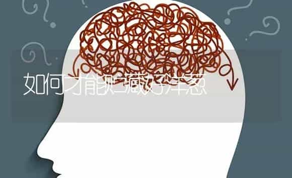 如何才能贮藏好洋葱 | 特种种植