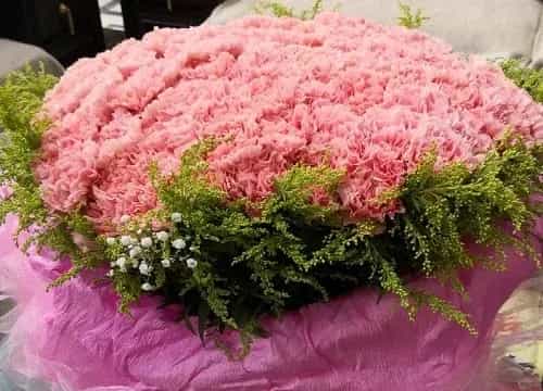 粉色康乃馨花语代表什么意思？