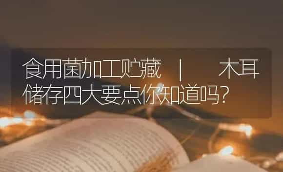 木耳储存四大要点你知道吗？ | 菌菇种植