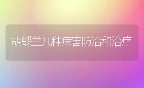 胡蝶兰几种病害防治和治疗 | 家庭养花