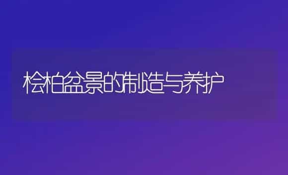 桧柏盆景的制造与养护 | 家庭养花