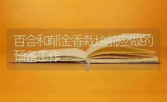 百合和郁金香栽培前应做的预备工作 | 特种种植