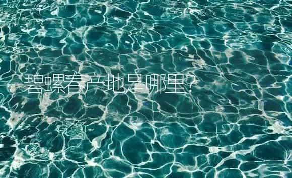 碧螺春产地是哪里？ | 农作物种植