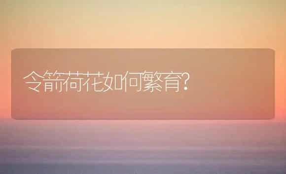 令箭荷花如何繁育? | 家庭养花
