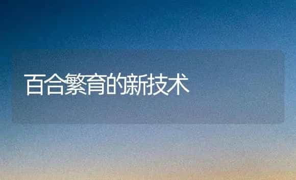 百合繁育的新技术 | 家庭养花