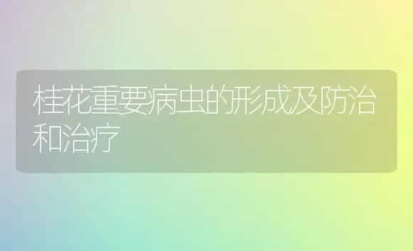 桂花重要病虫的形成及防治和治疗 | 家庭养花