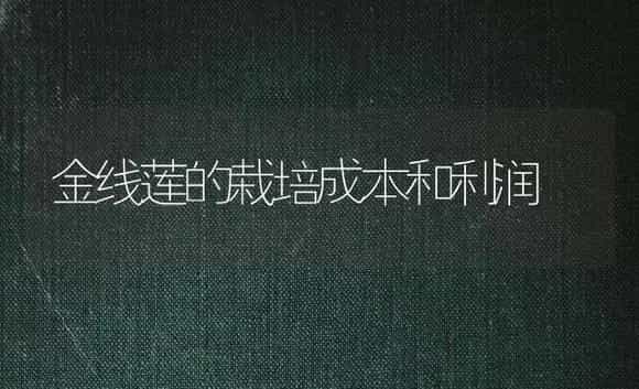 金线莲的栽培成本和利润 | 药材种植