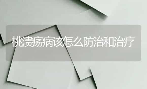 桃溃疡病该怎么防治和治疗 | 果木种植