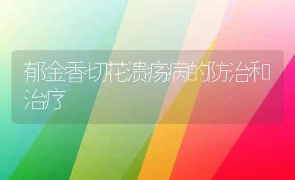 郁金香切花溃疡病的防治和治疗 | 家庭养花