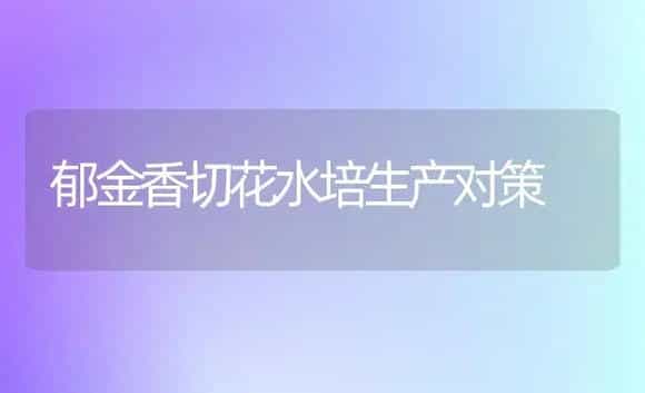 郁金香切花水培生产对策 | 家庭养花