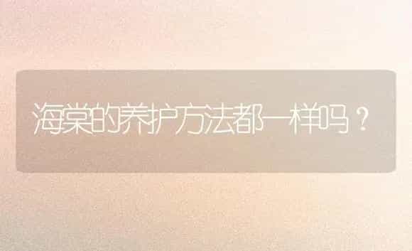 海棠的养护方法都一样吗？ | 绿植常识