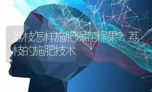 荔枝怎样施肥保花保果？荔枝的施肥技术 | 果木种植