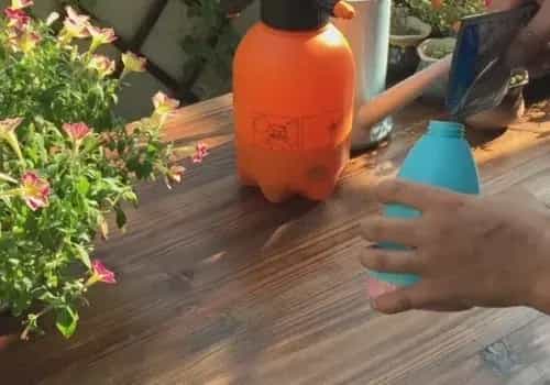 盆栽施肥 | 磷酸二氢钾使用方法