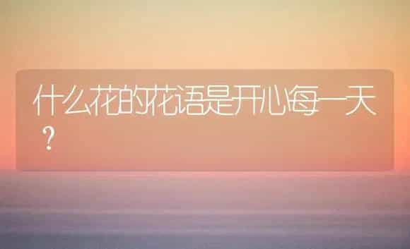 什么花的花语是开心每一天？ | 多肉养殖