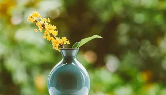 桂花花语 桂花花语是什么