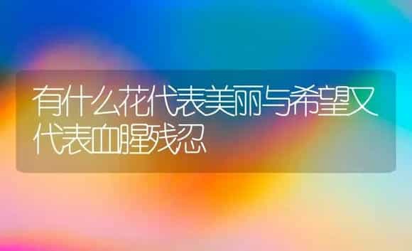 有什么花代表美丽与希望又代表血腥残忍 | 绿植常识