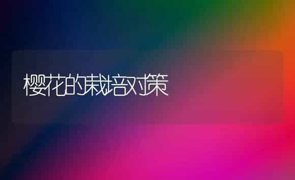 樱花的栽培对策 | 家庭养花