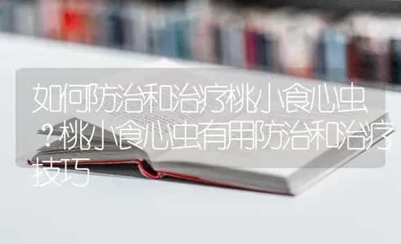 如何防治和治疗桃小食心虫？桃小食心虫有用防治和治疗技巧 | 果木种植