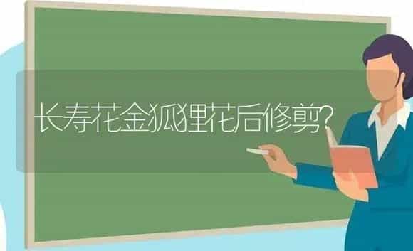 长寿花金狐狸花后修剪? | 多肉养殖