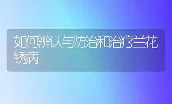如何辨认与防治和治疗兰花锈病 | 家庭养花