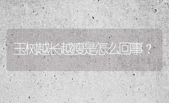 玉树越长越瘦是怎么回事？ | 多肉养殖