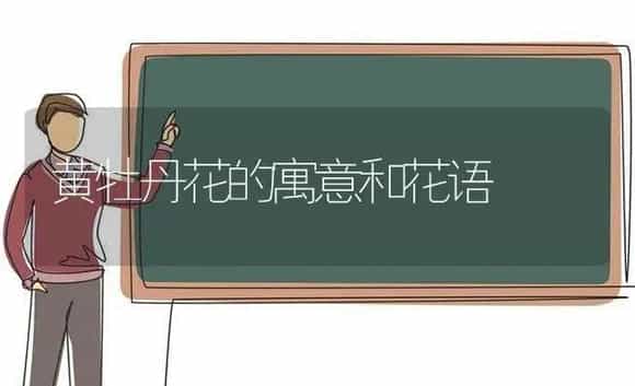 黄牡丹花的寓意和花语 | 绿植寓意