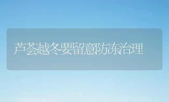芦荟越冬要留意防冻治理 | 家庭养花