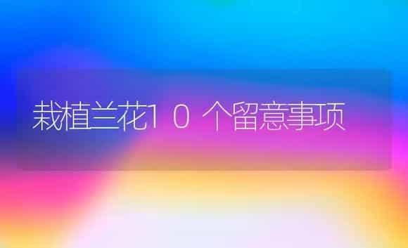栽植兰花10个留意事项 | 家庭养花