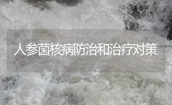 人参菌核病防治和治疗对策 | 药材种植