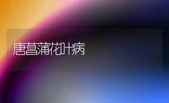 唐菖蒲花叶病 | 家庭养花