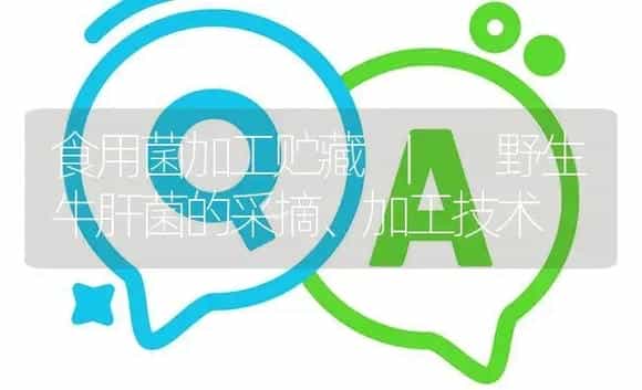 野生牛肝菌的采摘、加工技术 | 菌菇种植