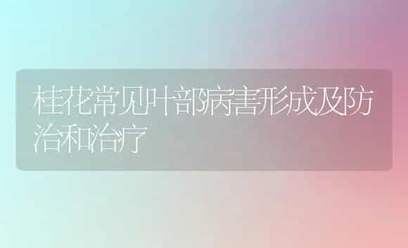 桂花常见叶部病害形成及防治和治疗 | 家庭养花