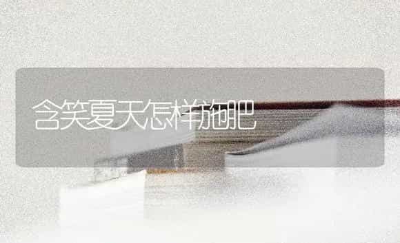含笑夏天怎样施肥 | 特种种植