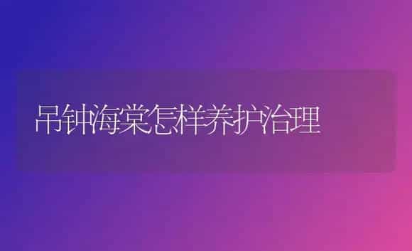吊钟海棠怎样养护治理 | 家庭养花