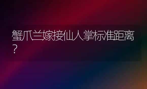 蟹爪兰嫁接仙人掌标准距离？ | 多肉养殖