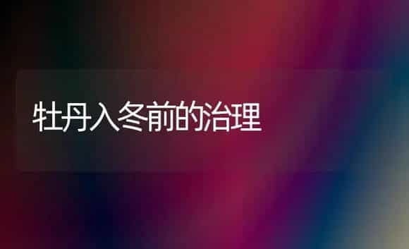 牡丹入冬前的治理 | 家庭养花