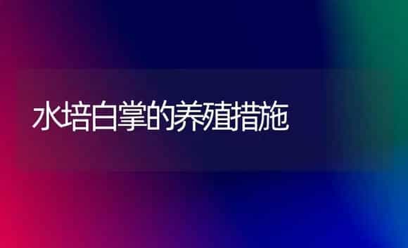 水培白掌的养殖措施 | 家庭养花
