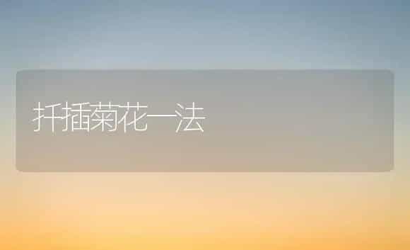 文竹罕见病虫害及其防治和治疗方法 | 家庭养花