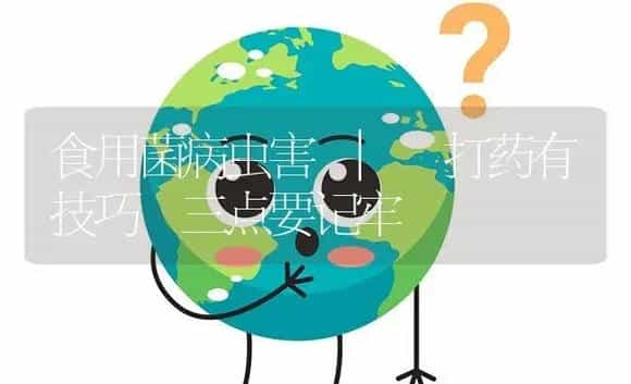 打药有技巧 三点要记牢 | 菌菇种植