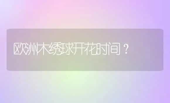 欧洲木绣球开花时间？ | 绿植常识