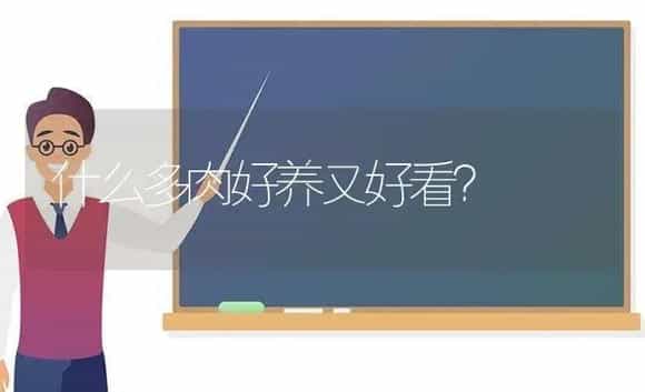 什么多肉好养又好看？ | 多肉养殖