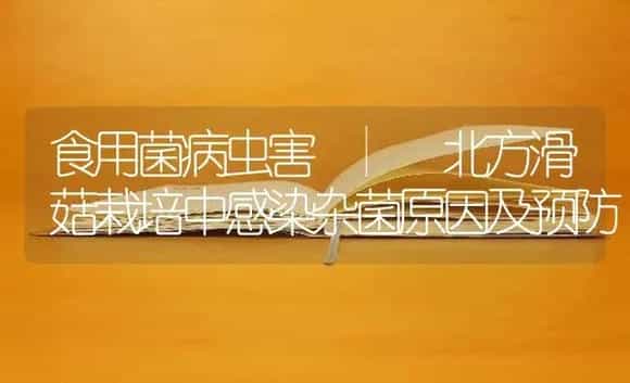 北方滑菇栽培中感染杂菌原因及预防 | 菌菇种植