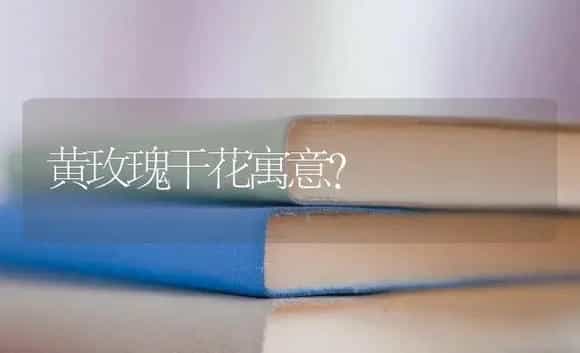 黄玫瑰干花寓意？ | 绿植常识