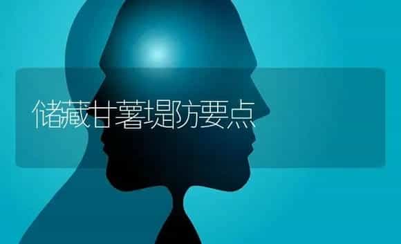 储藏甘薯堤防要点 | 特种种植