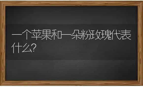 一个苹果和一朵粉玫瑰代表什么？ | 绿植常识