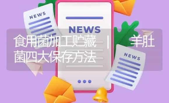 羊肚菌四大保存方法 | 菌菇种植