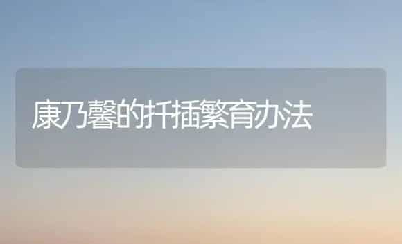康乃馨的扦插繁育办法 | 家庭养花