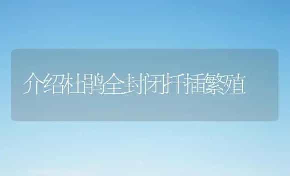 介绍杜鹃全封闭扦插繁殖 | 家庭养花